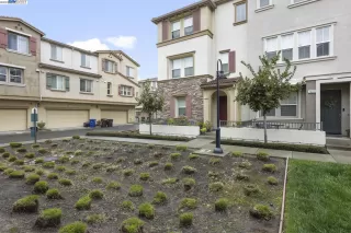 Photo #1: 41020809 Listing 