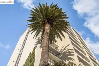 Photo #1: 41020980 Listing