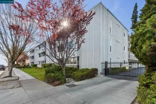 Photo #1: 41021049 Listing 