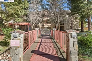 Photo #1: 41021102 Listing 