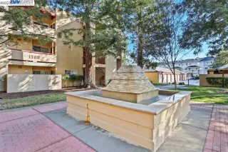 Photo #2: 41021102 Listing 