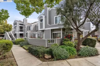 Photo #1: 41021198 Listing