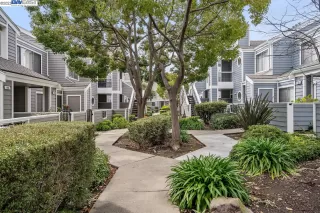 Photo #2: 41021198 Listing