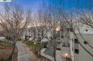 Photo #6: 41021224 Listing 