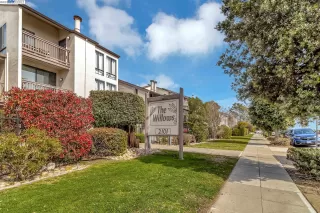 Photo #1: 41021352 Listing