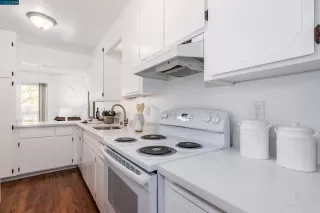 Photo #5: 41021386 Listing 