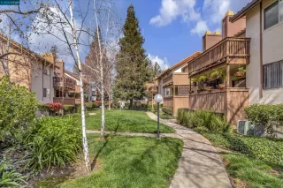 Photo #2: 41021501 Listing 