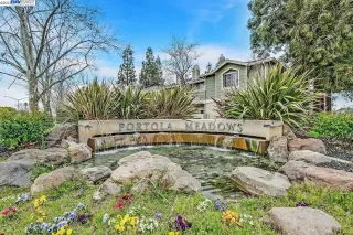 Photo #2: 41021509 Listing 