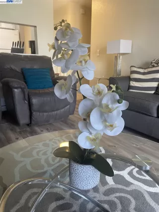 Photo #4: 41021892 Listing 