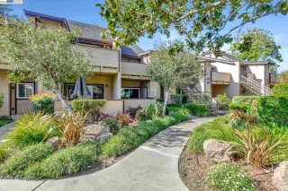 Photo #4: 41022151 Listing