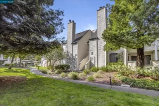 Photo #5: 41022165 Listing 