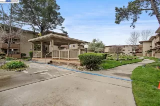 Photo #1: 41022445 Listing