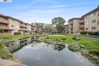 Photo #4: 41022445 Listing