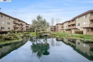 Photo #5: 41022445 Listing