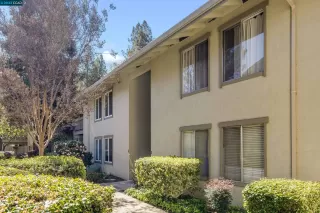 Photo #1: 41022495 Listing