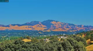 Photo #3: 41022498 Listing