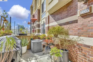 Photo #5: 41022759 Listing