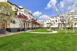 Photo #3: 41022775 Listing