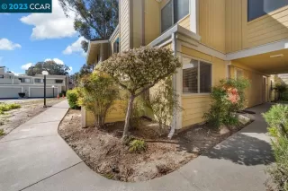 Photo #1: 41022788 Listing