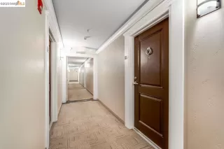 Photo #1: 41022825 Listing 