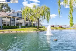 Photo #3: 41023058 Listing