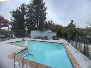 Photo #1: 41023263 Listing 