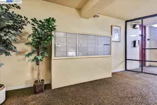 Photo #2: 41023307 Listing 