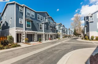 Photo #1: 41023321 Listing