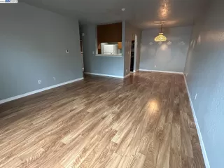 Photo #1: 41023570 Listing