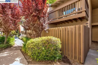 Photo #2: 41023666 Listing