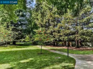 Photo #1: 41023678 Listing