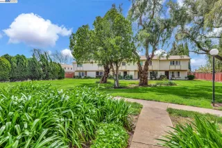 Photo #1: 41023995 Listing 