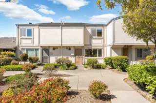 Photo #1: 41024056 Listing 