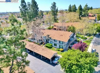 Photo #1: 41024160 Listing