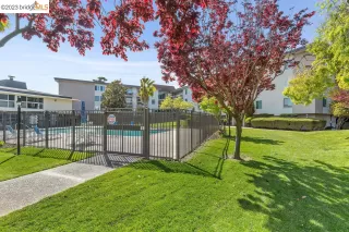 Photo #5: 41024186 Listing