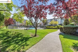 Photo #6: 41024186 Listing