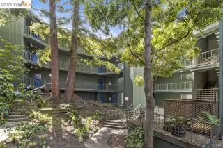 Photo #3: 41024636 Listing 