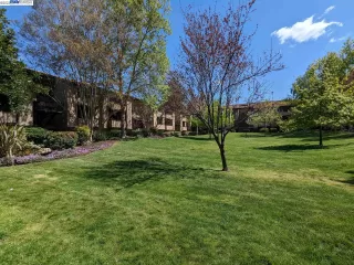 Photo #1: 41024718 Listing 