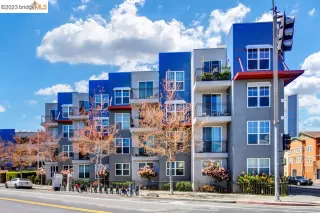 Photo #1: 41024763 Listing 