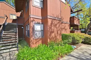 Photo #1: 41024974 Listing