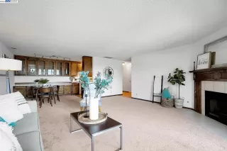 Photo #1: 41025060 Listing