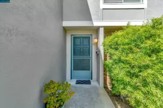 Photo #1: 41025152 Listing