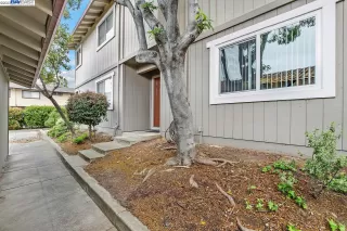 Photo #1: 41025230 Listing