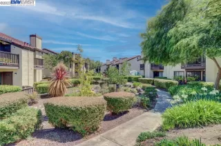 Photo #1: 41025303 Listing 