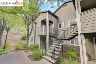Photo #1: 41025440 Listing