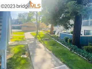 Photo #1: 41025537 Listing 
