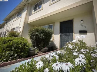 Photo #1: 41025667 Listing