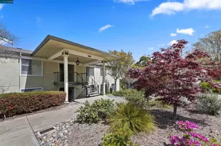 Photo #1: 41025734 Listing