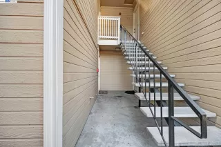 Photo #1: 41025818 Listing 