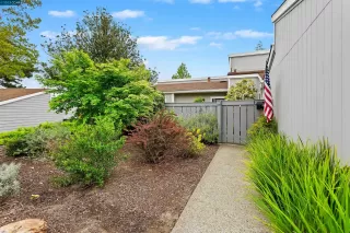 Photo #1: 41025849 Listing